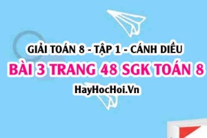 Giải bài 3 trang 48 Toán 8 Tập 1 SGK Cánh Diều